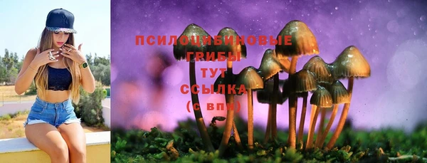 твердый Елабуга