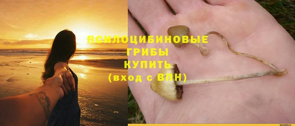 тгк Елизово