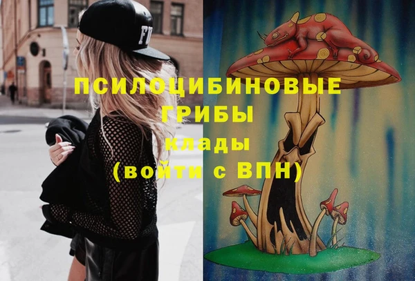 тгк Елизово