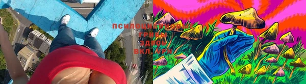 мяу мяу кристалл Ельня