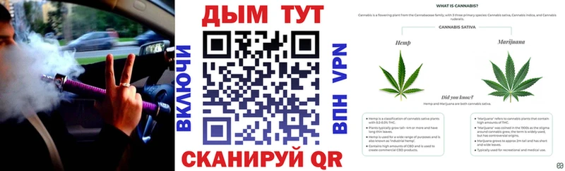 Купить закладки  Магадан  Марихуана план 